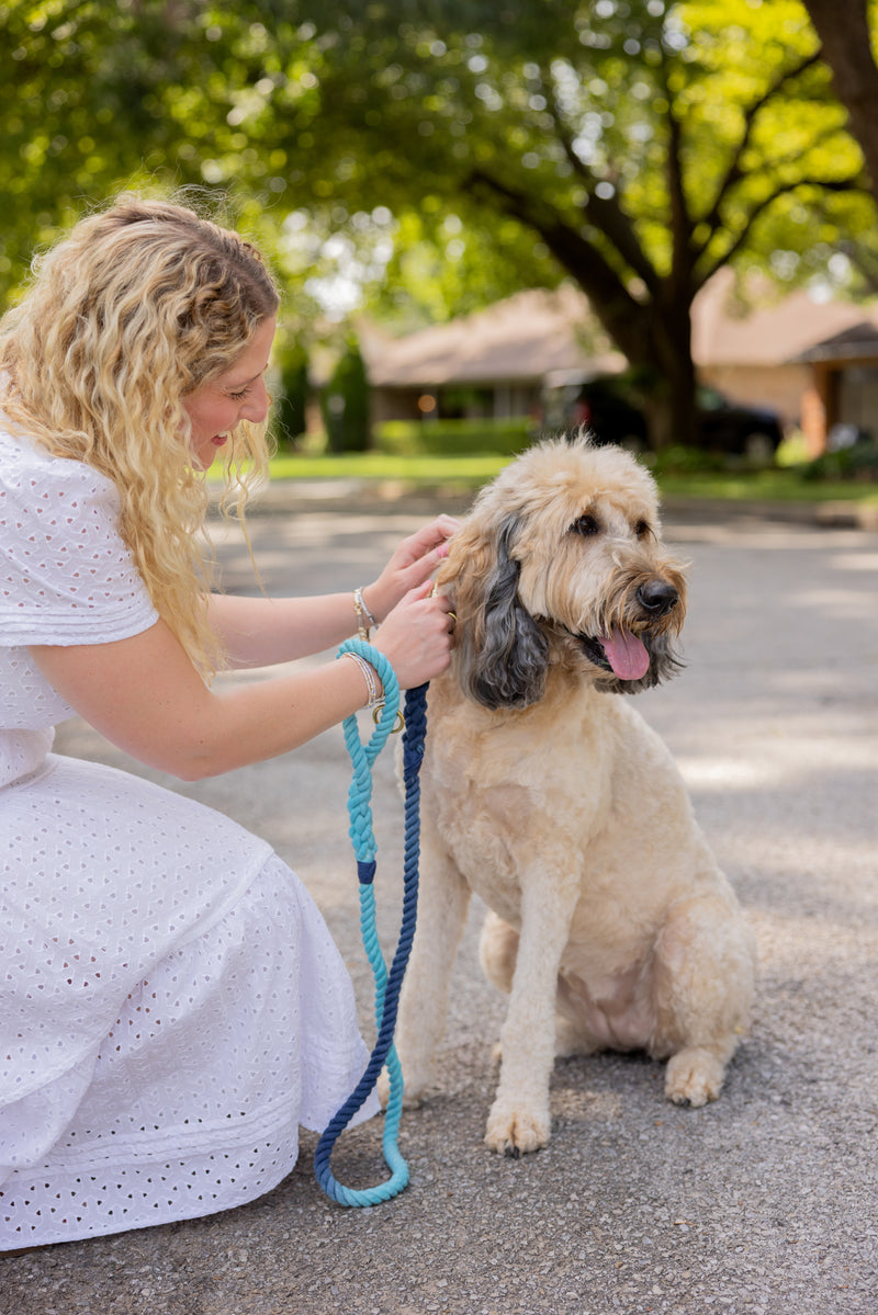 Blue Ombre Leash with Navy Whip - 59"