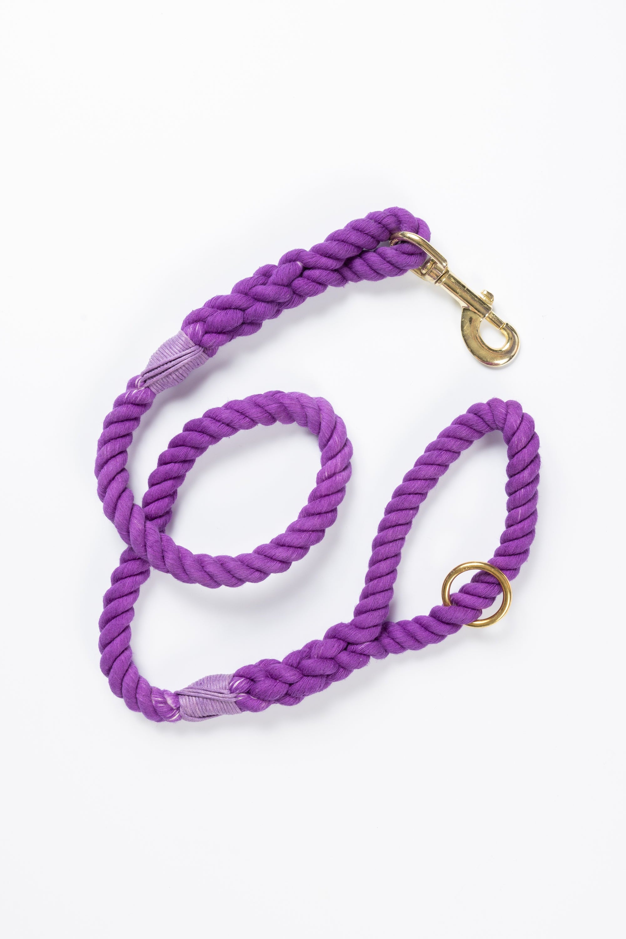 Purple Leash with Light Purple Whip - 38"