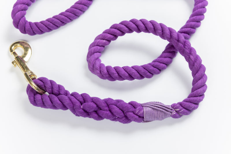 Purple Leash with Light Purple Whip - 38"