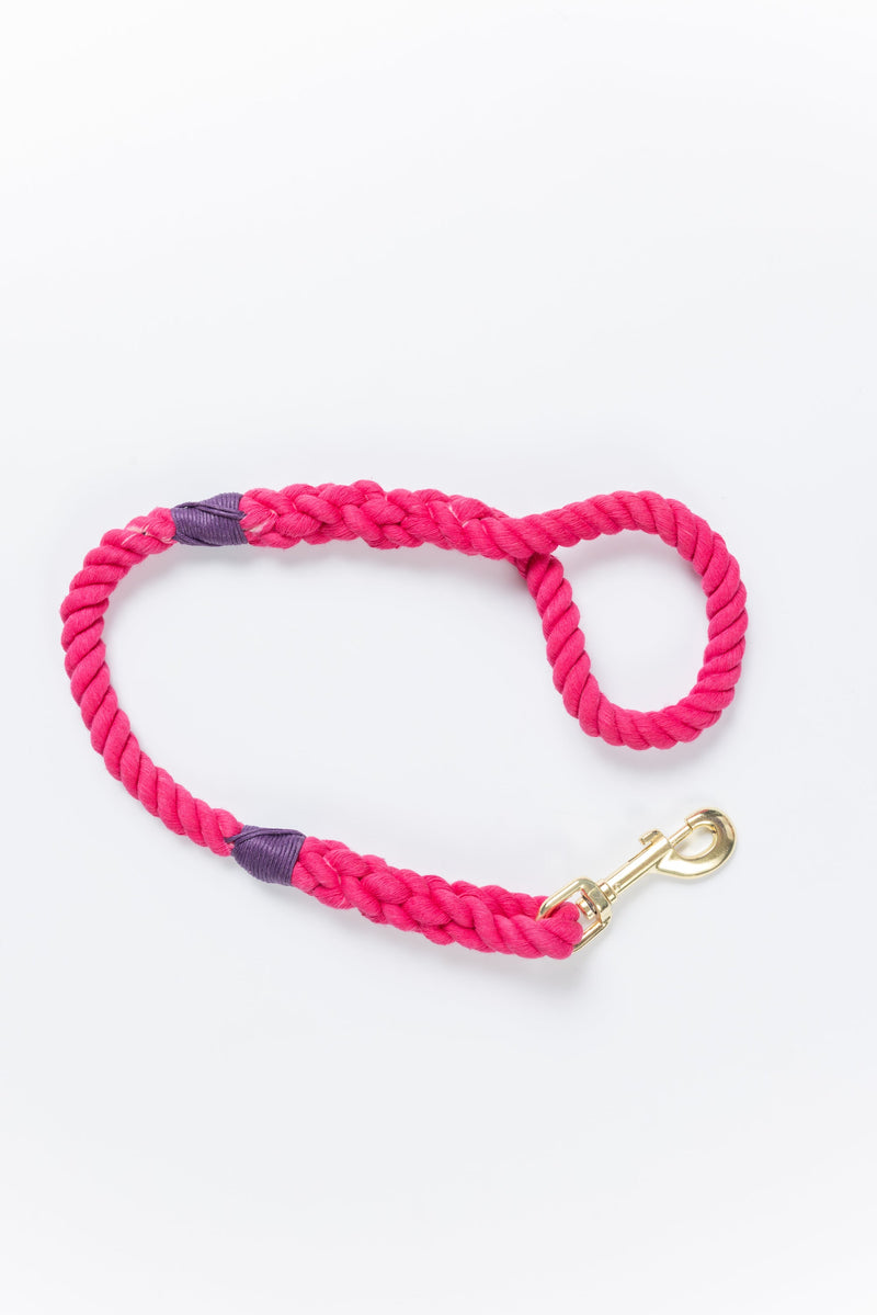 Pink Leash with Purple Whip - 26"