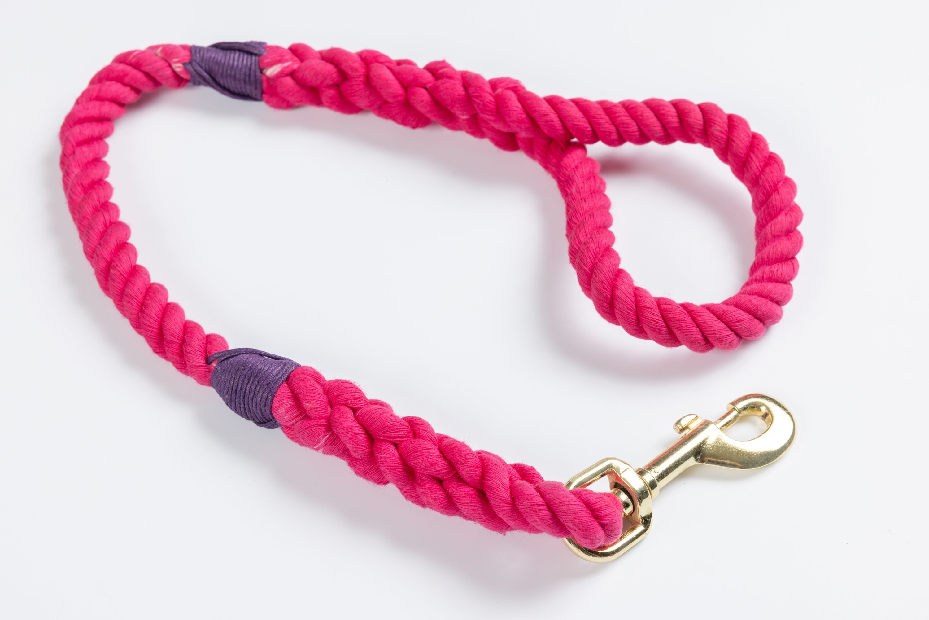 Pink Leash with Purple Whip - 26"