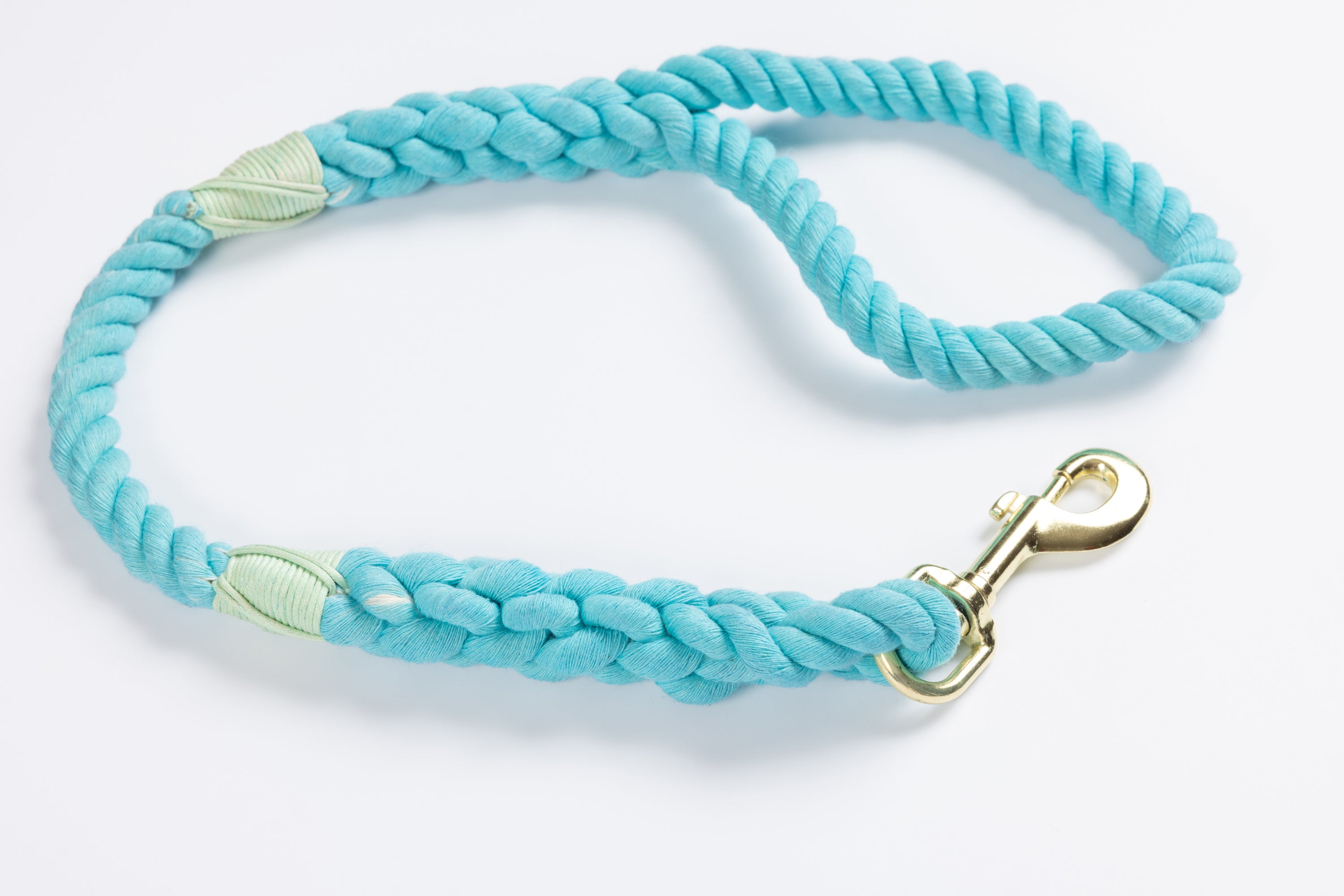 Aqua Leash with Seafoam Whip - 27"