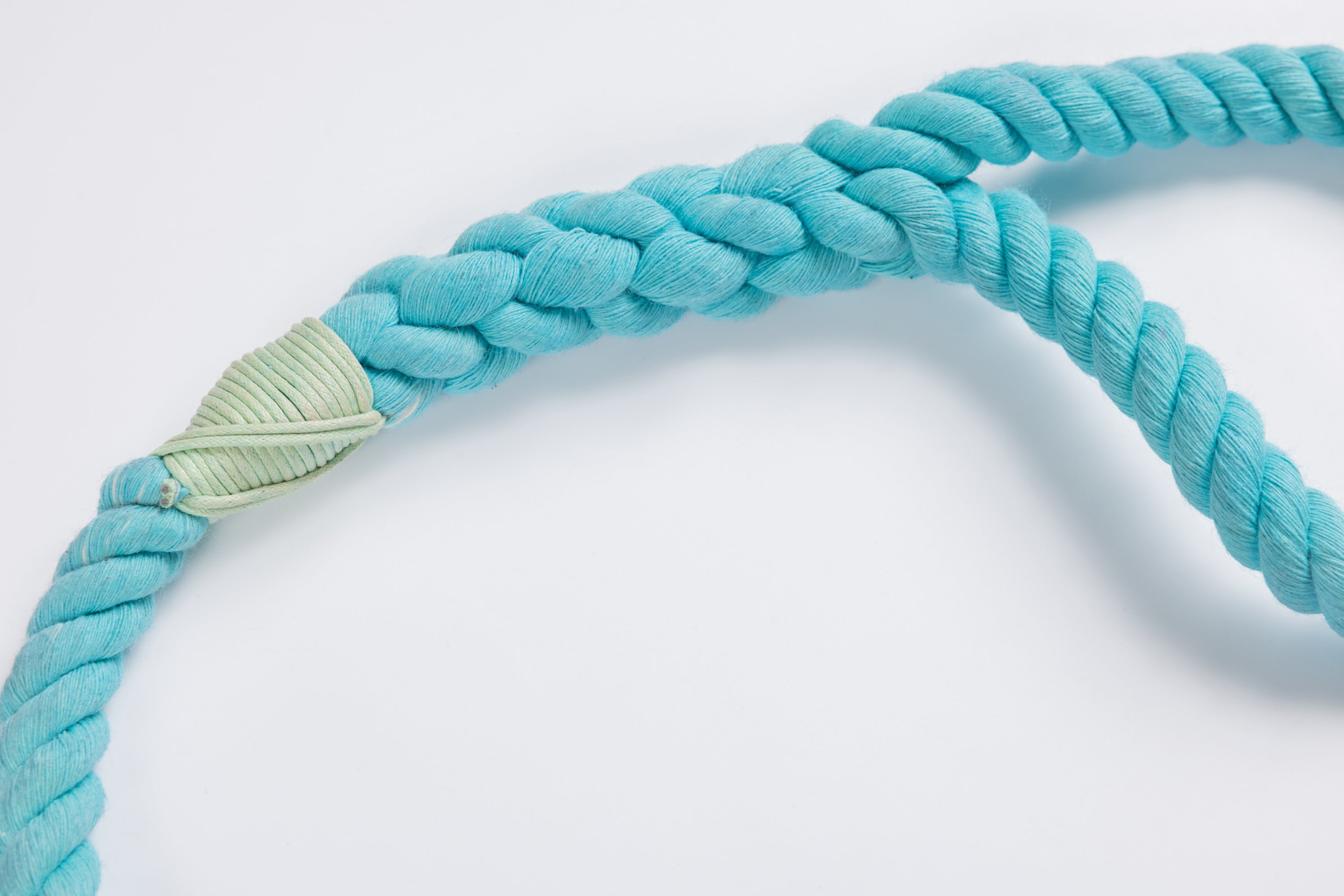 Aqua Leash with Seafoam Whip - 27"