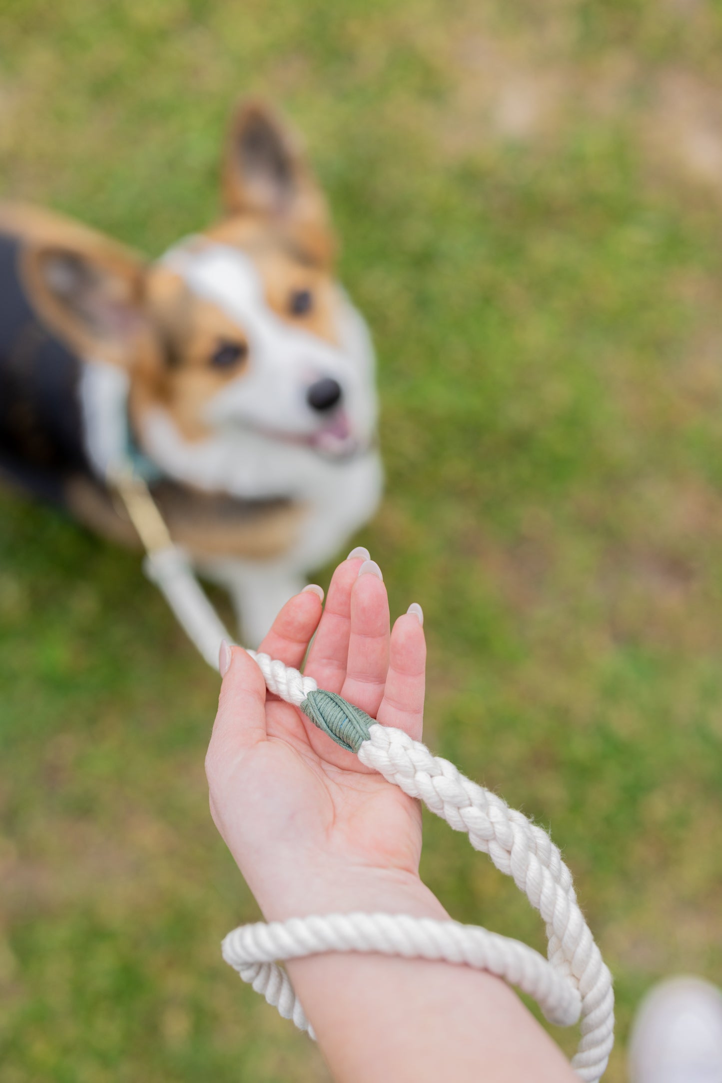 Natural Leash with Yellow Whip