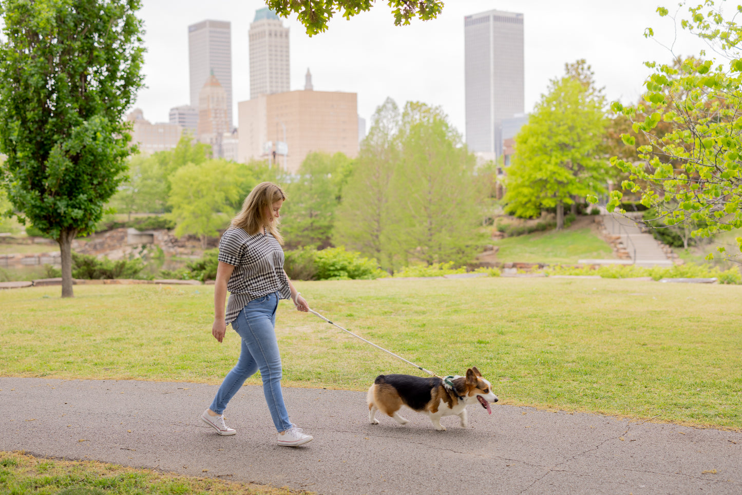Natural Leash with Yellow Whip