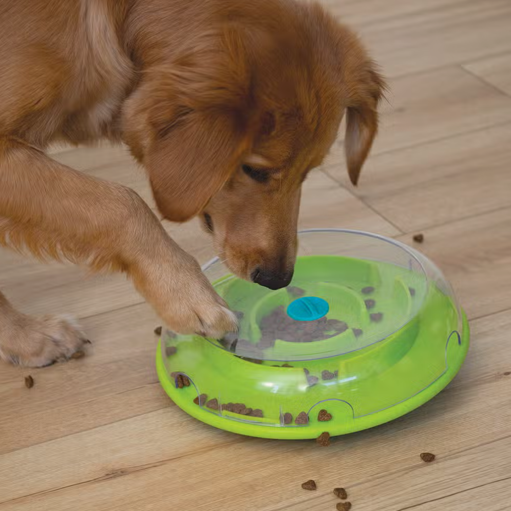 Nina Ottosson Wobble Slow Feeder Bowl Dog Game-Level 1