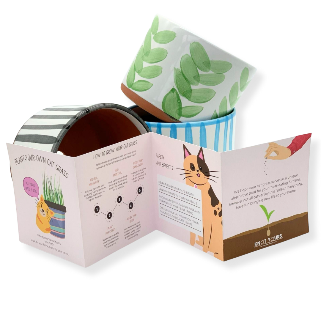 Plant-Your-Own Cat Grass