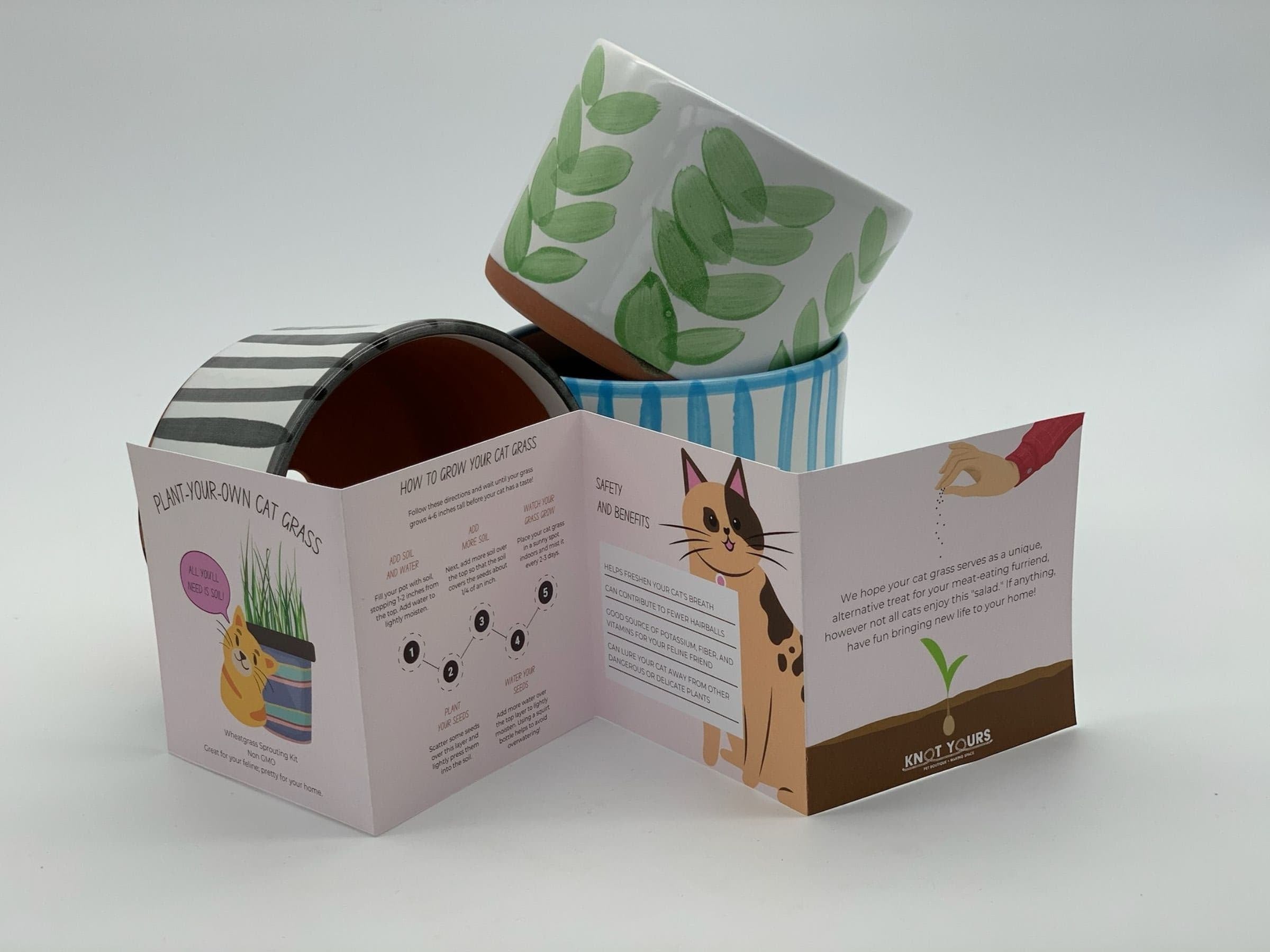 Cat grass growing kit with decorative pots and fold-out instruction booklet showing steps and benefits for growing cat grass indoors.