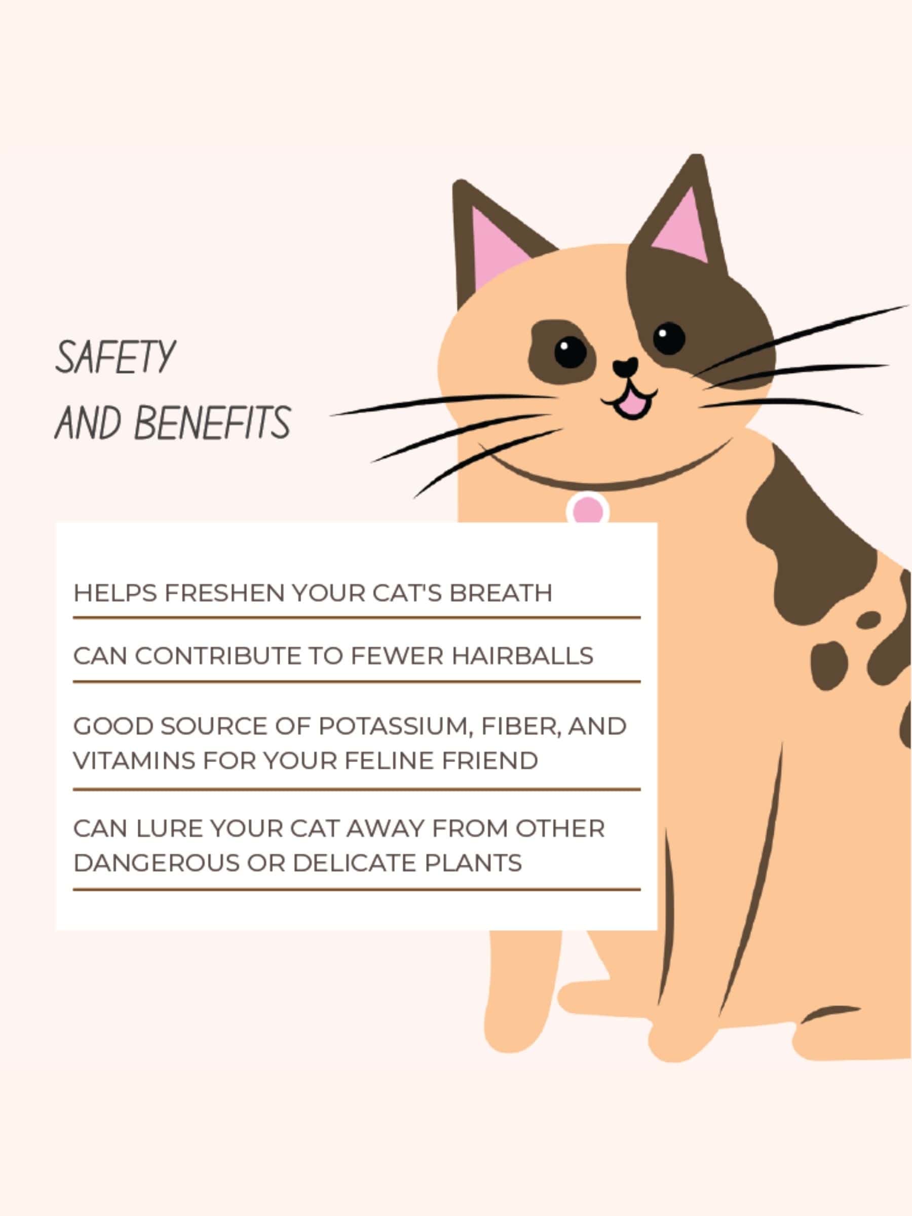 Illustrated safety and benefits guide for cat grass kits, showing a cartoon cat with tips on fresh breath, fewer hairballs, vitamins, and plant protection.