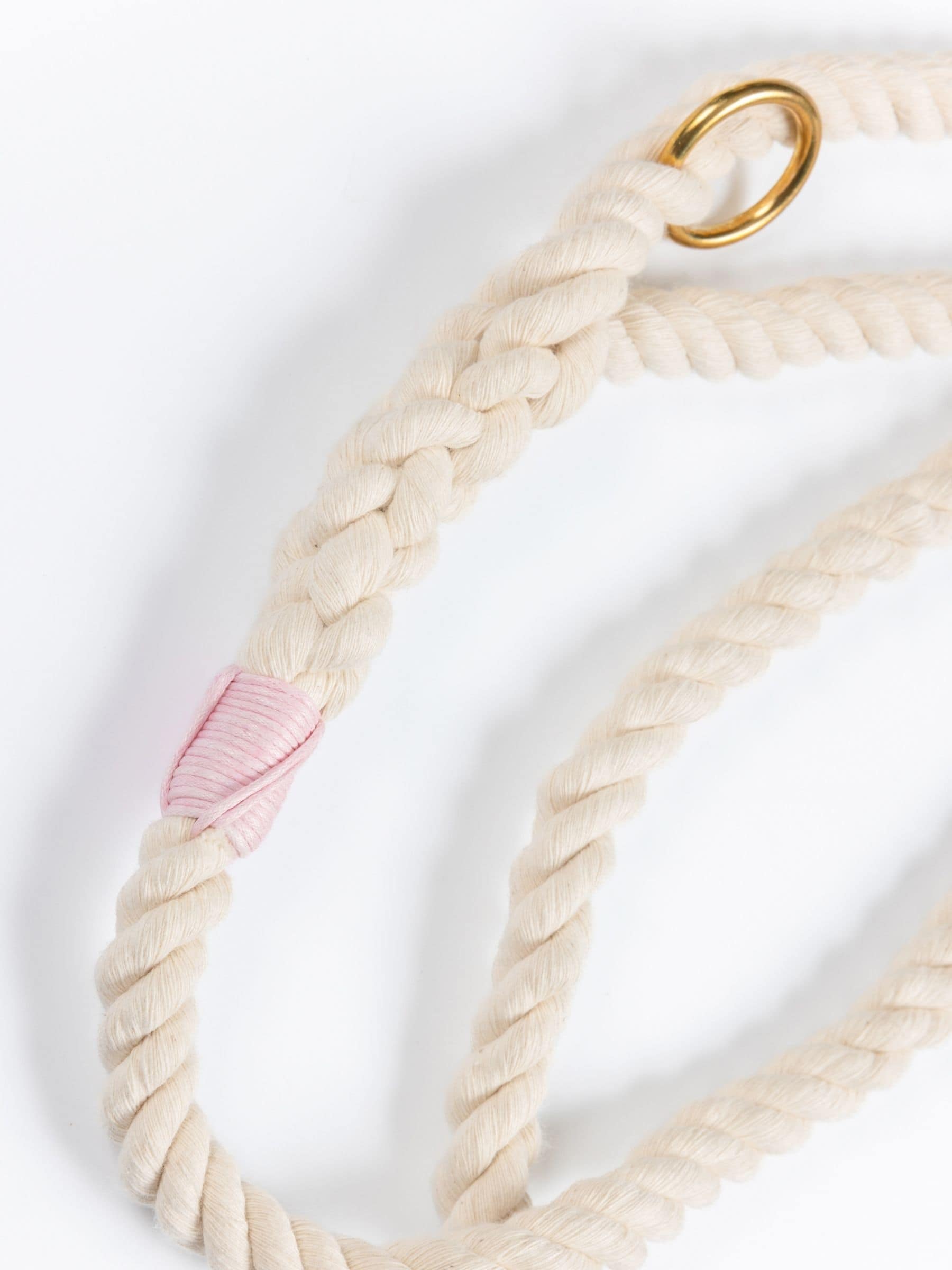 Beige braided dog leash with a gold clip and pink whipping on a white background