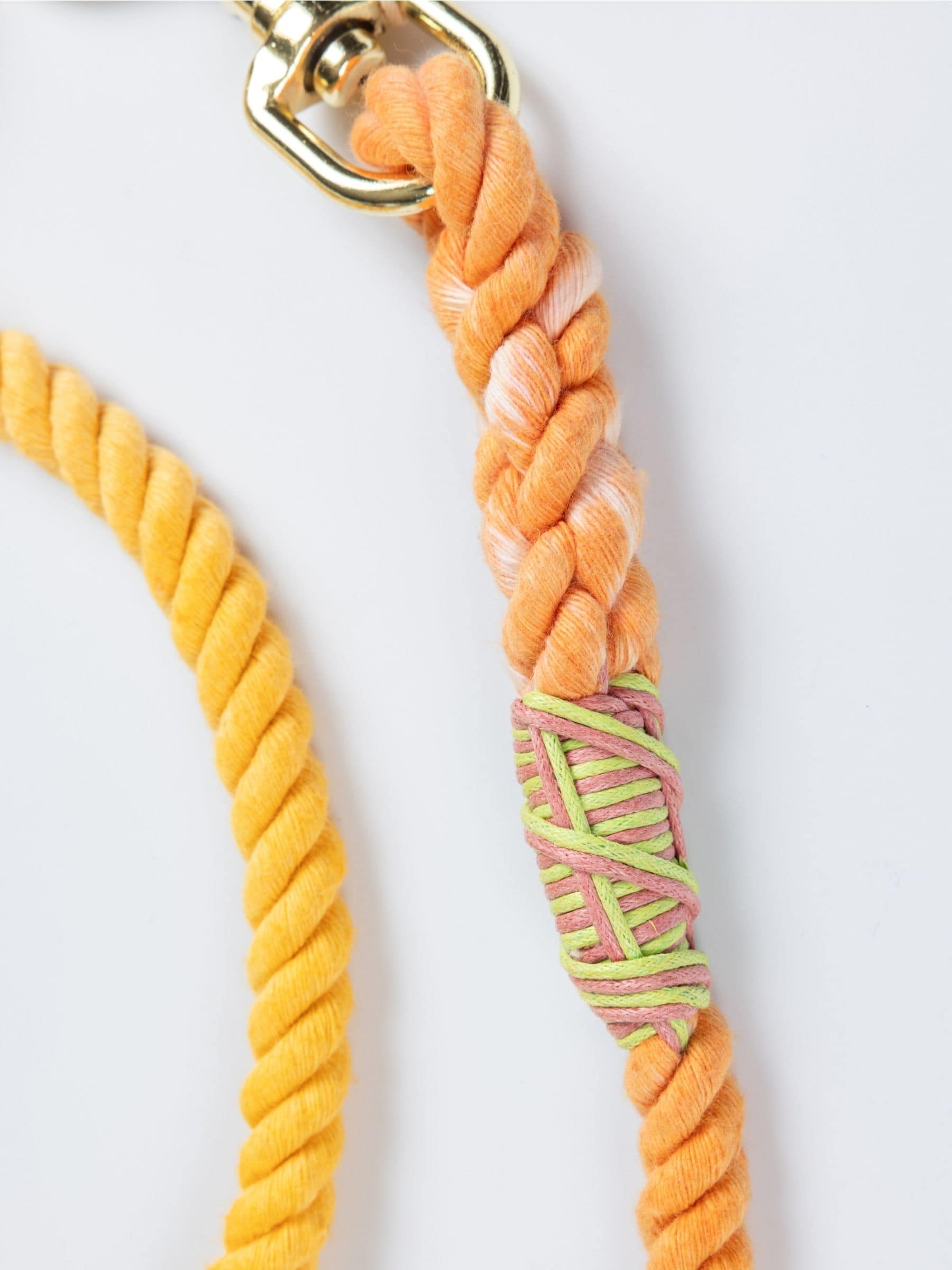 Colorful braided dog leash with a gold clasp on a white background