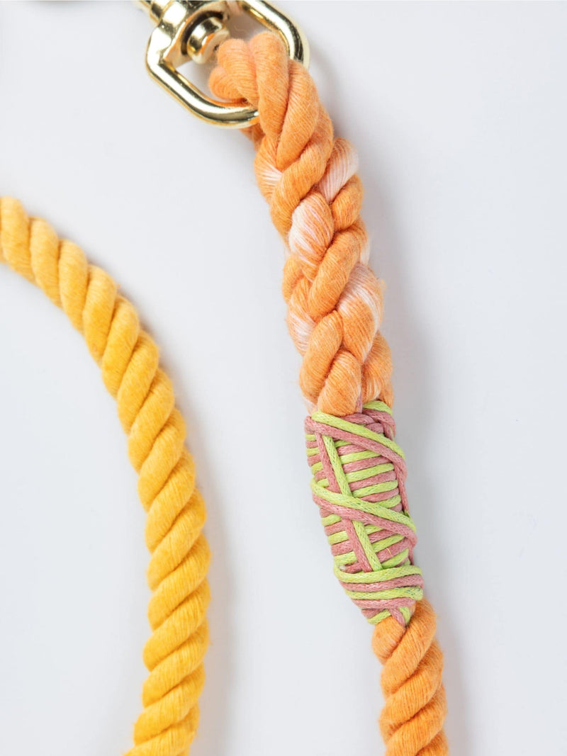 Colorful braided dog leash with a gold clasp on a white background