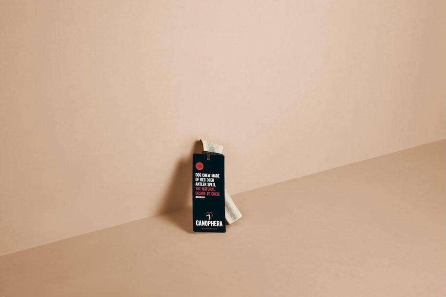 Red Deer Antler Split Chew