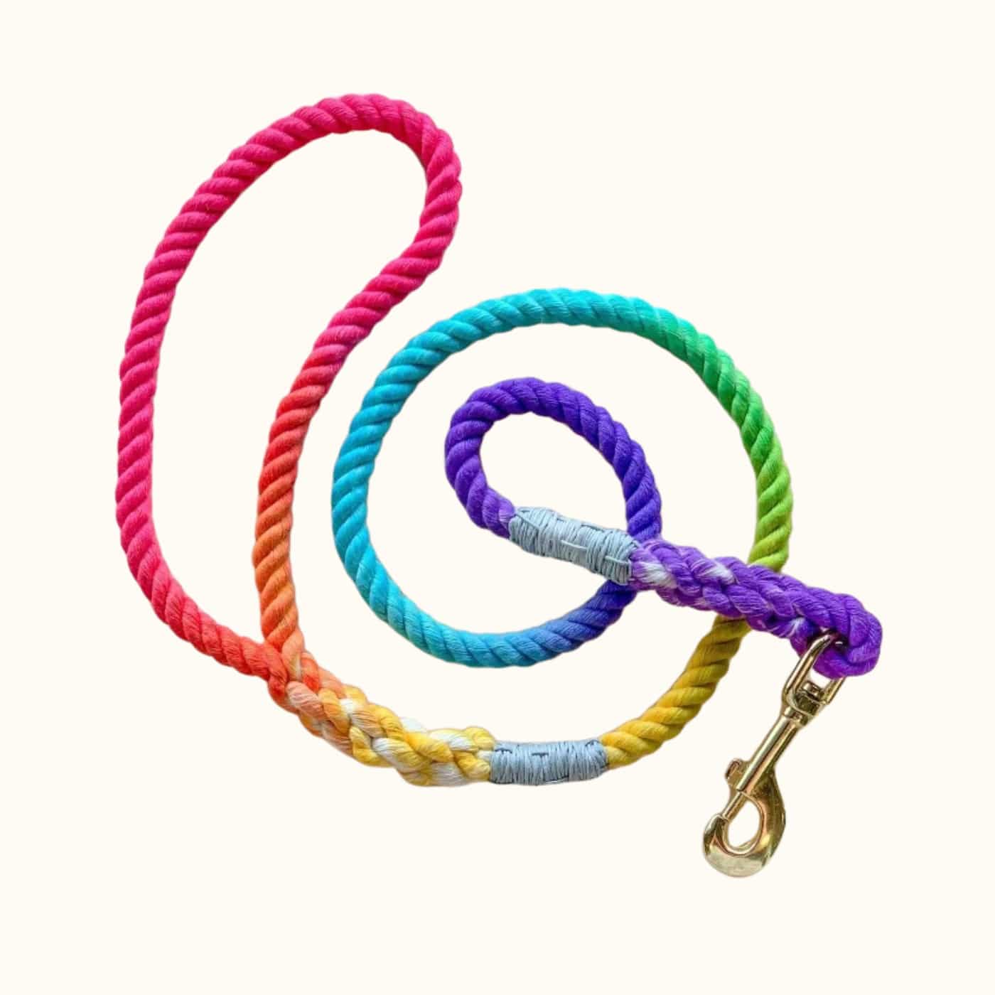 Vibrant rainbow rope dog leash with red, orange, yellow, green, blue, and purple segments, finished with pastel wrap and gold hardware.
