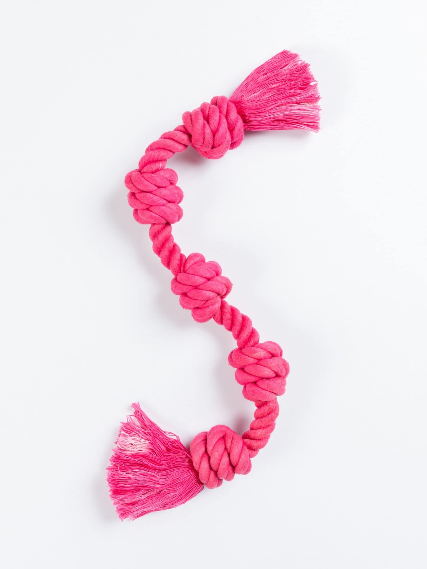 Fuchsia five-knotted rope toy on a white background