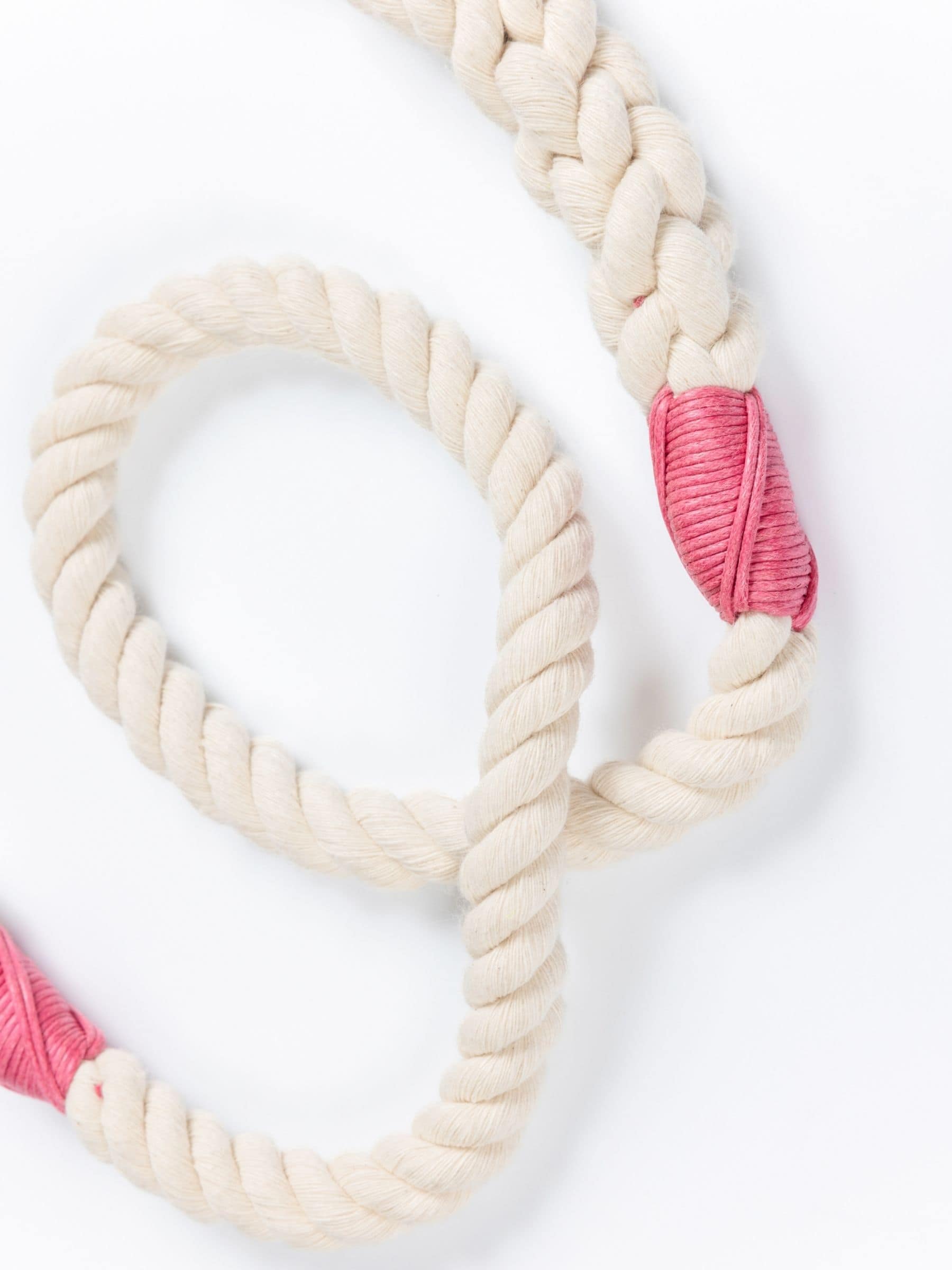 Close-up of a handmade natural cotton dog leash with fuchsia whipping detail.
