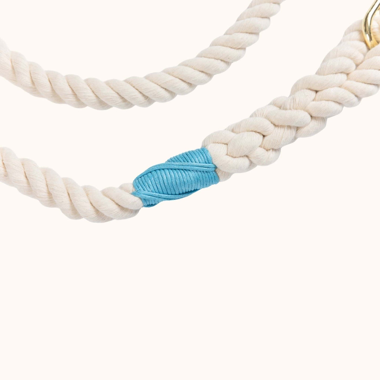 Close-up of natural cotton rope dog leash showing aqua whipping detail