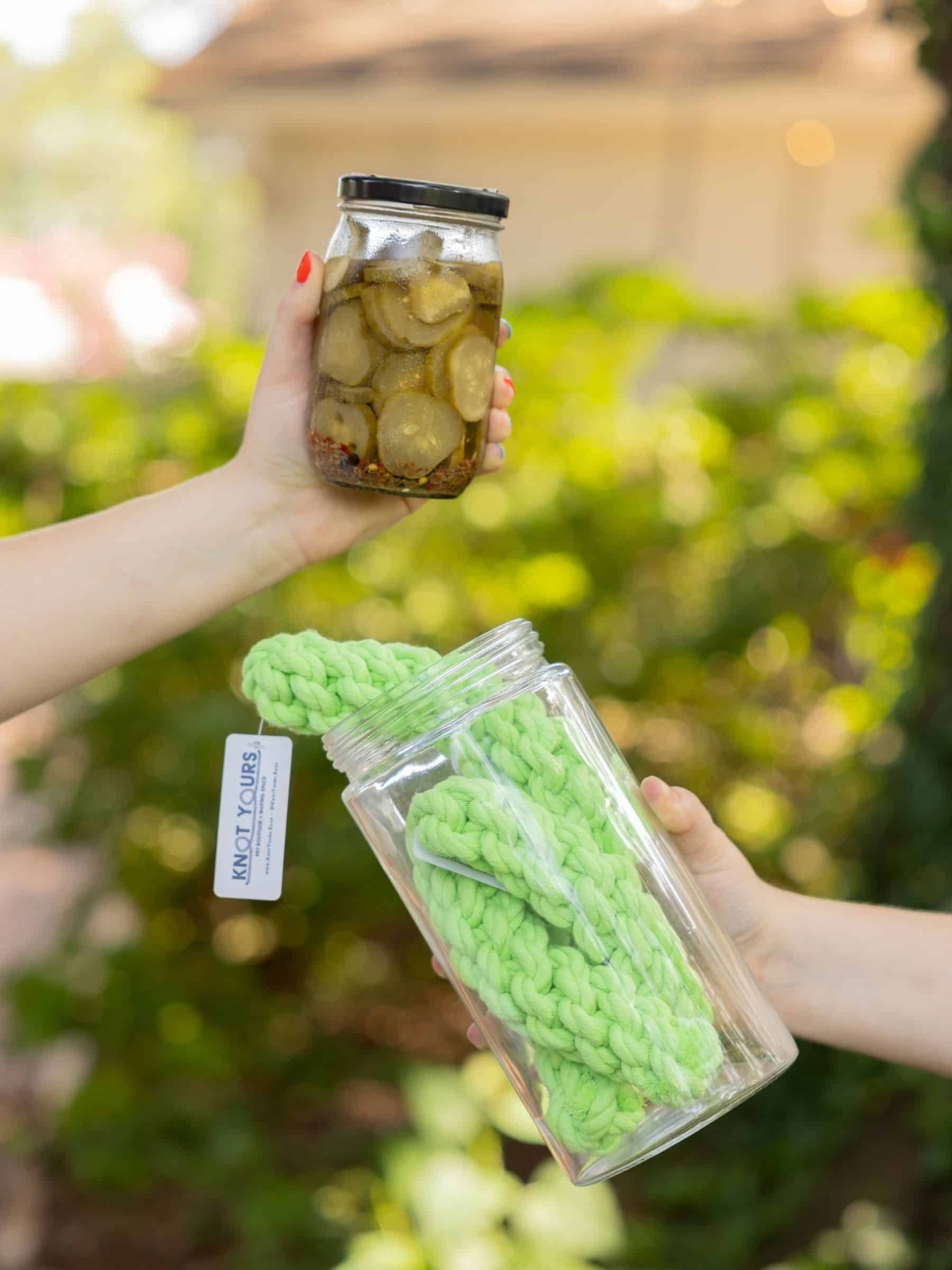 One hand holding a jars of pickles and another jar of green pickle dog rope toys with a blurred green outdoor background