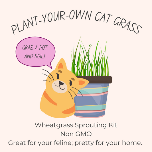 Plant-Your-Own Cat Grass