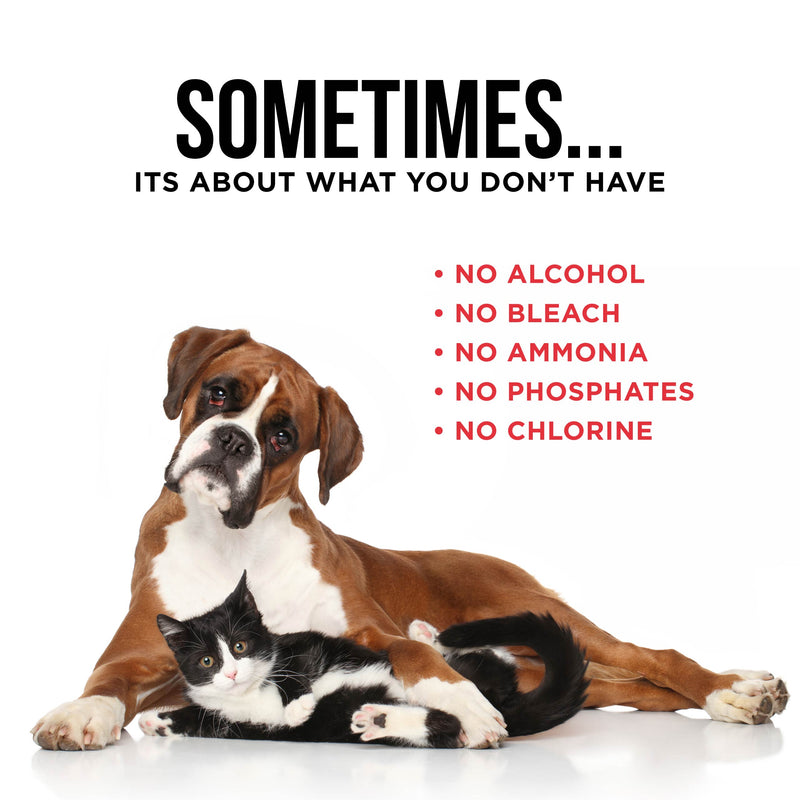 The Only Pet Stain & Odor Remover You Need