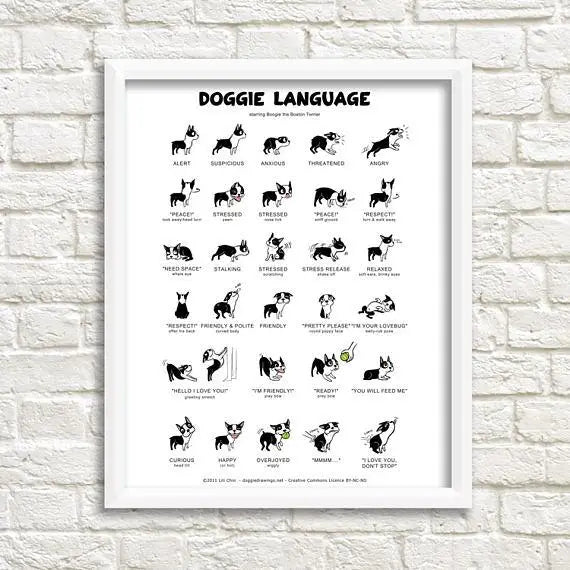 Cat and Doggie Art Print Drawings