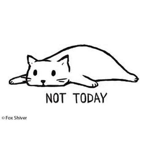 Fun Magnets Rectangle