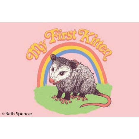 Fun Magnets Rectangle