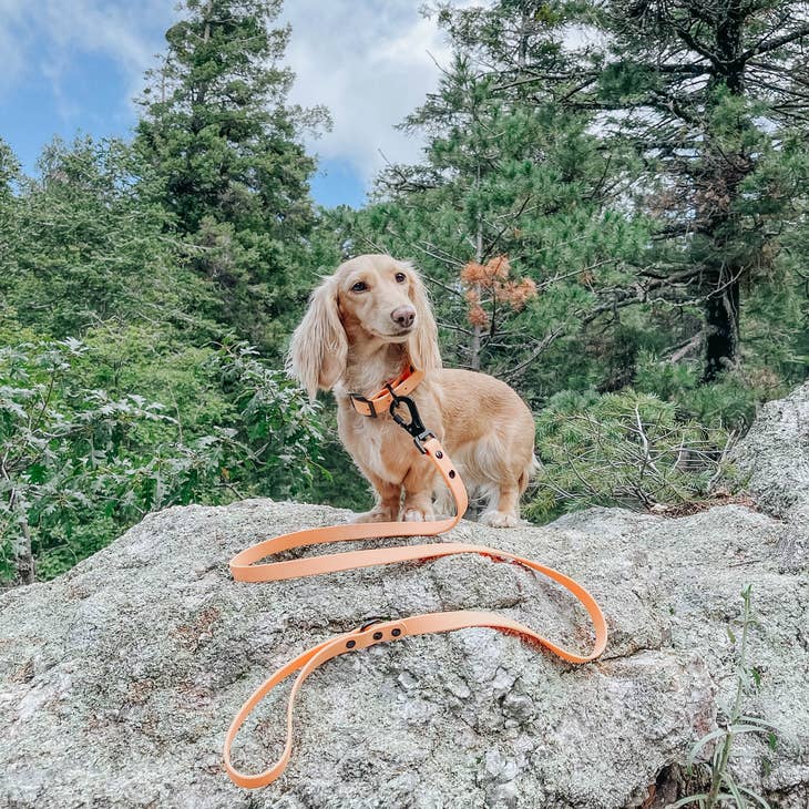 Waterproof Leash