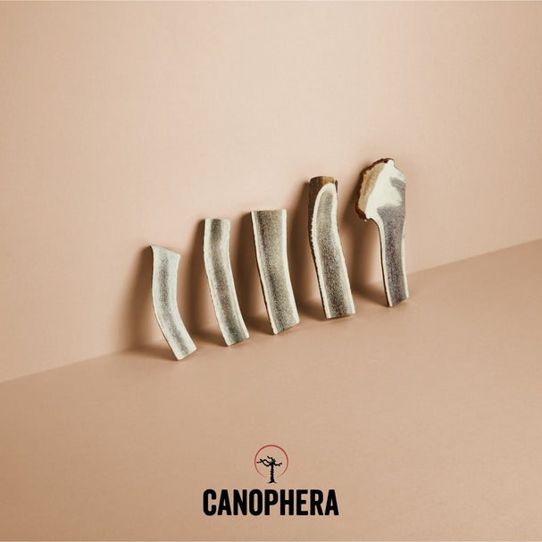 Red Deer Antler Split Chew