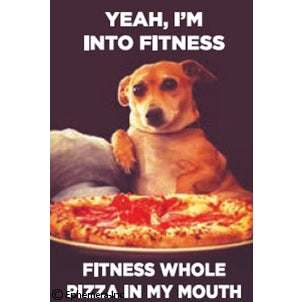 Fun Magnets Rectangle