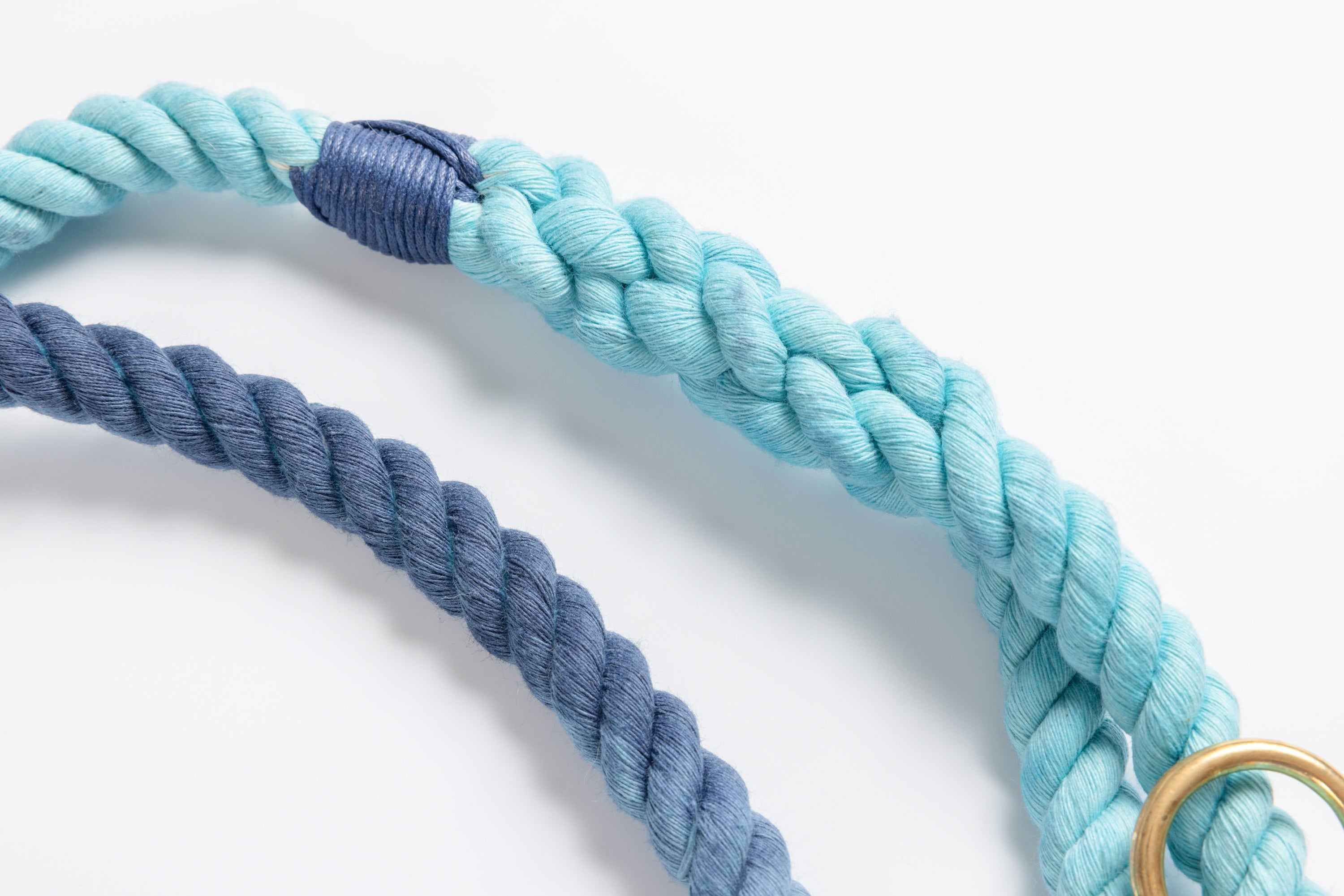 Blue Ombre Leash with Navy Whip - 59"
