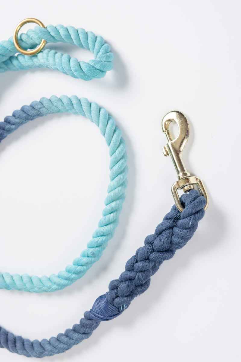 Blue Ombre Leash with Navy Whip - 59"