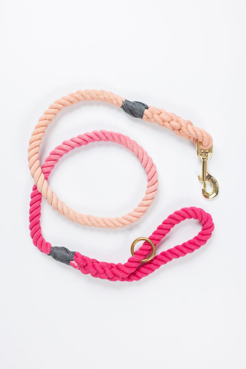Pink Ombre Leash with Charcoal Whip - 50"