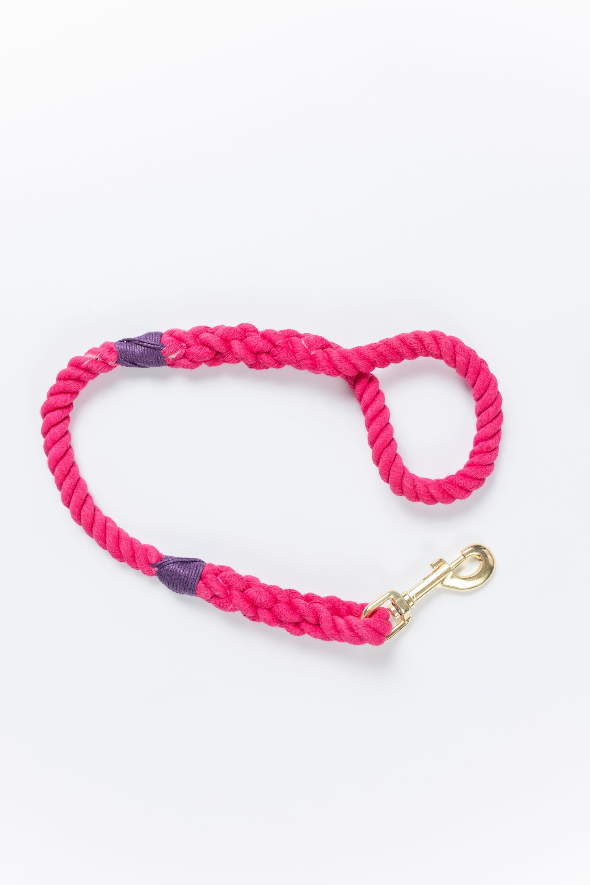 Pink Leash with Purple Whip - 26"