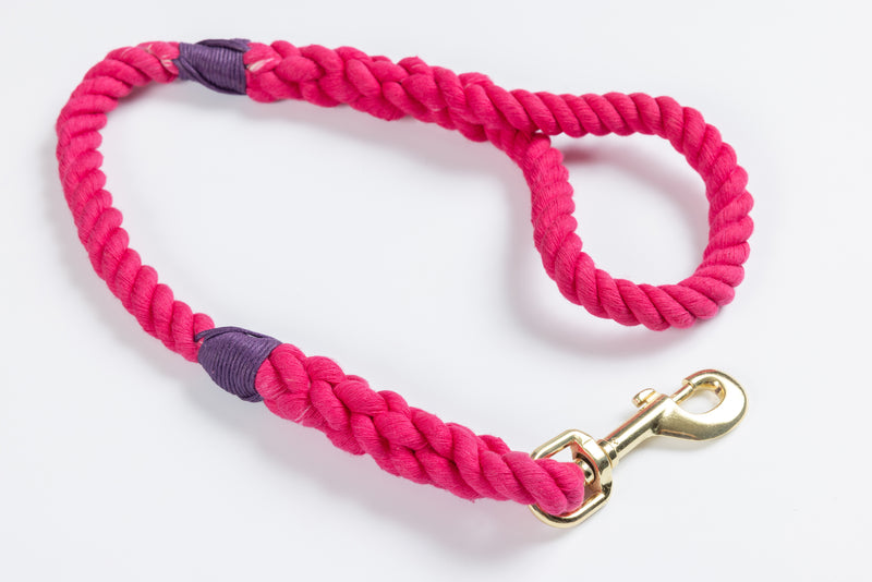 Pink Leash with Purple Whip - 26"