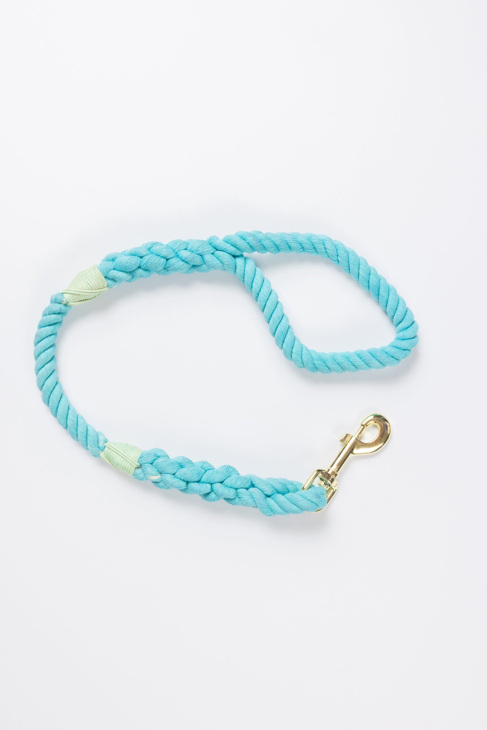 Aqua Leash with Seafoam Whip - 27"