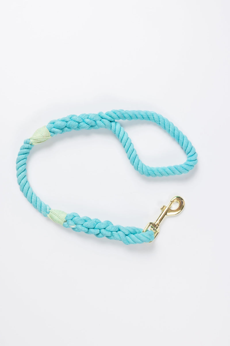 Aqua Leash with Seafoam Whip - 27"