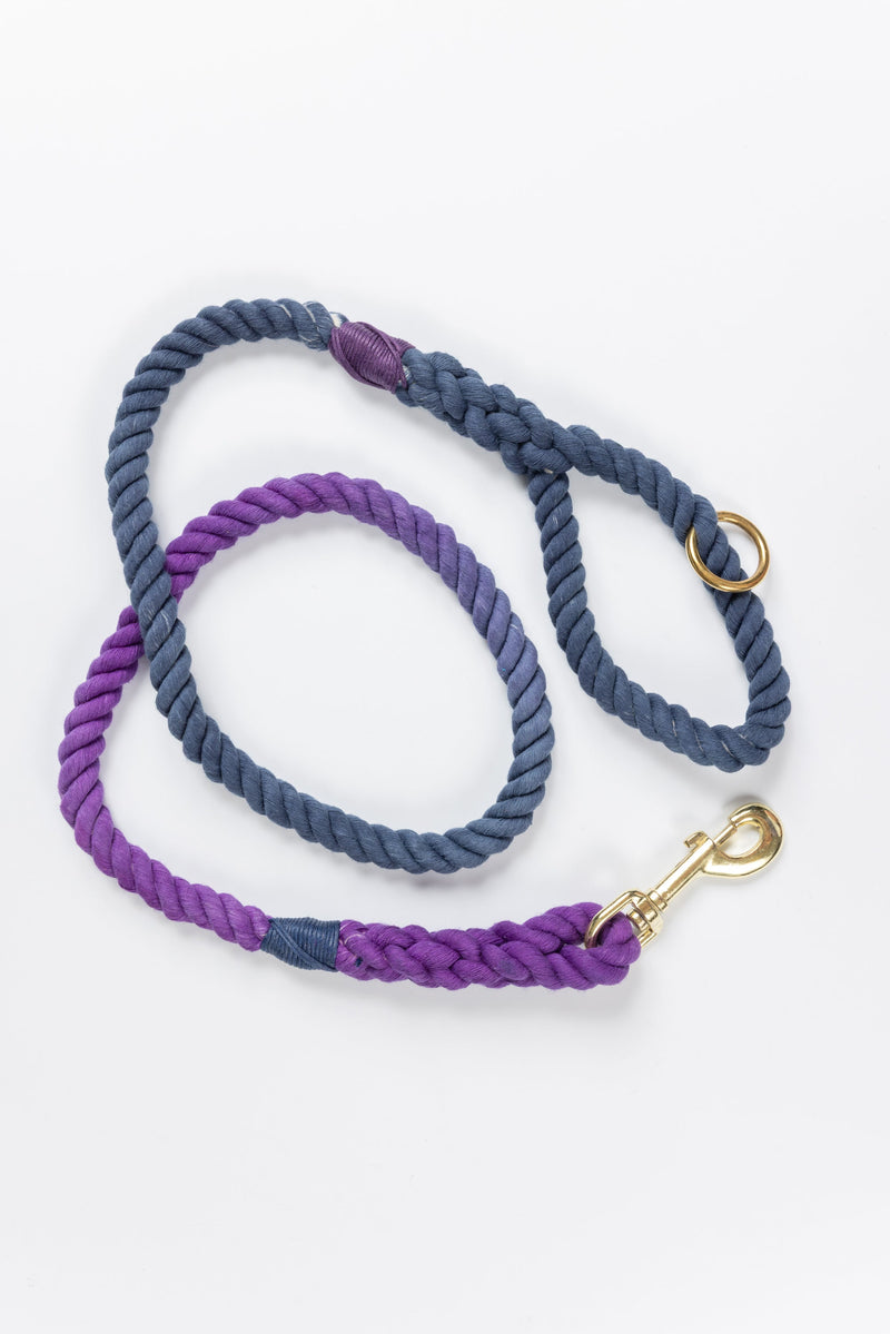 Purple to Navy Ombre Leash with Alternating Color Whip - 52"