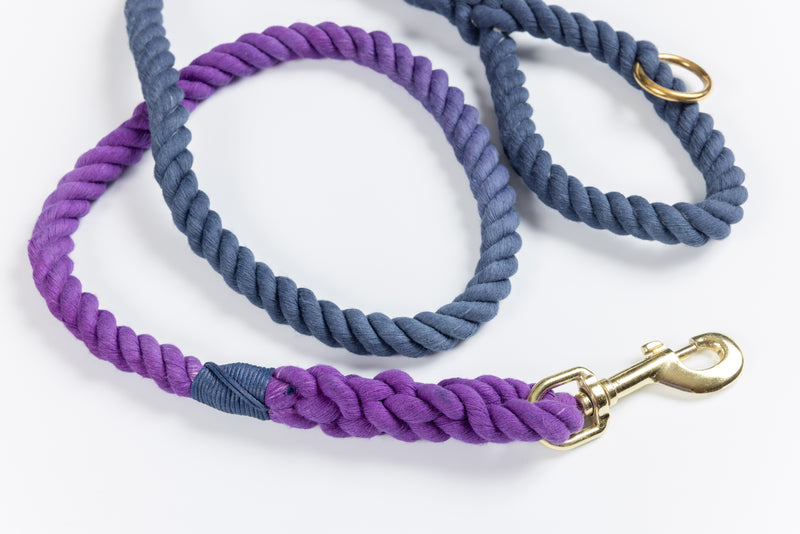 Purple to Navy Ombre Leash with Alternating Color Whip - 52"