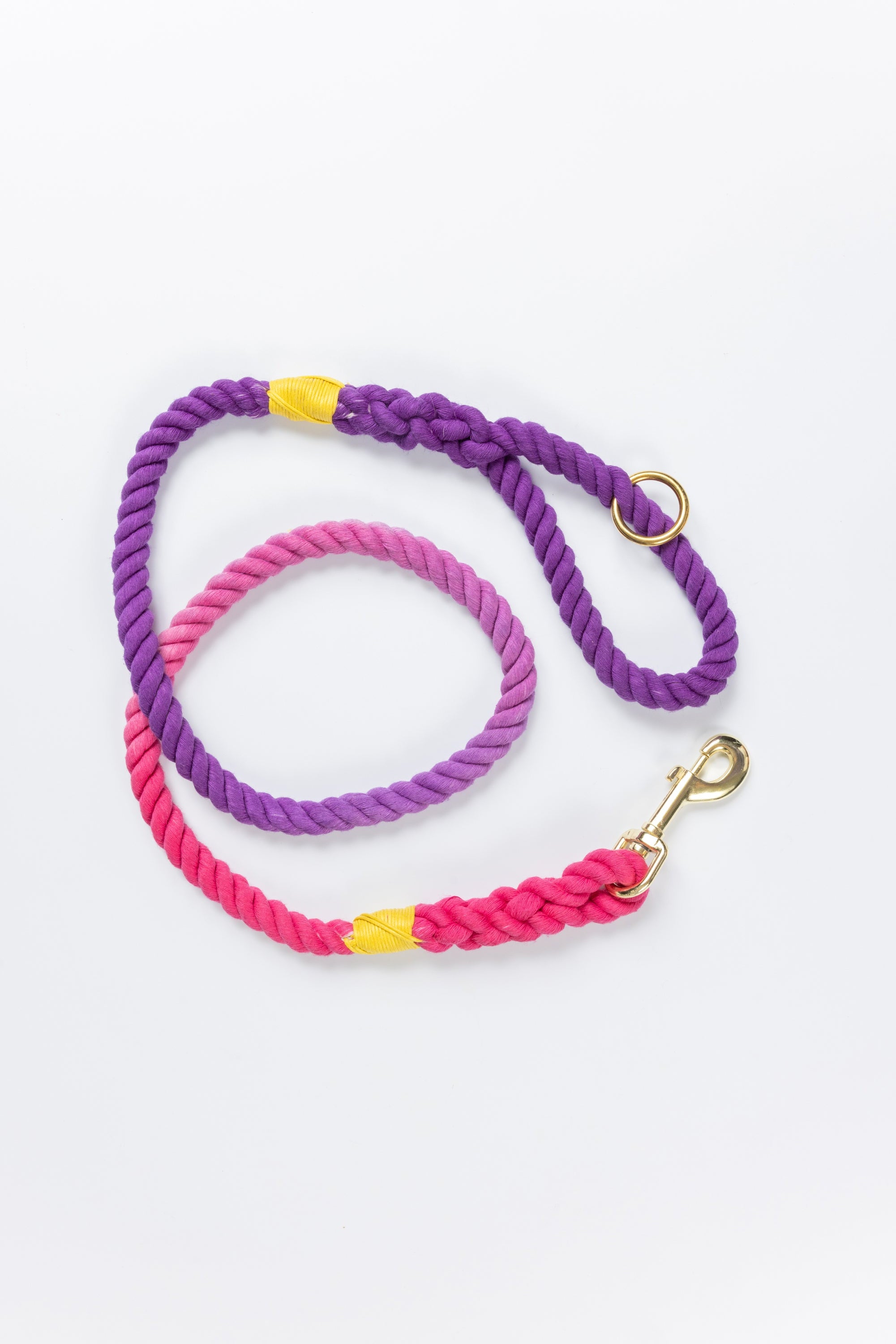Pink to Purple Ombre Leash with Yellow Whip - 52"