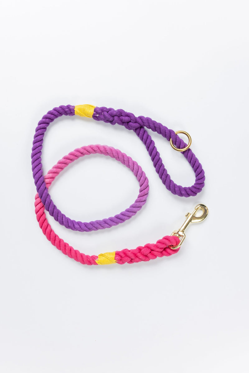 Pink to Purple Ombre Leash with Yellow Whip - 52"
