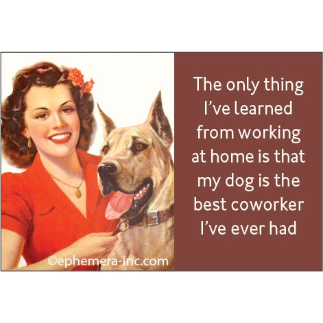 Fun Magnets Rectangle