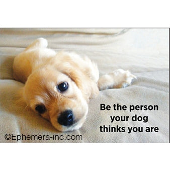 Fun Magnets Rectangle