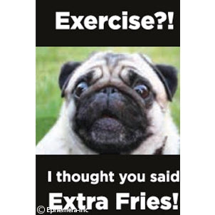 Fun Magnets Rectangle