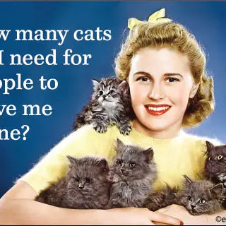 Fun Magnets Rectangle