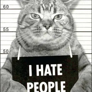 Fun Magnets Rectangle