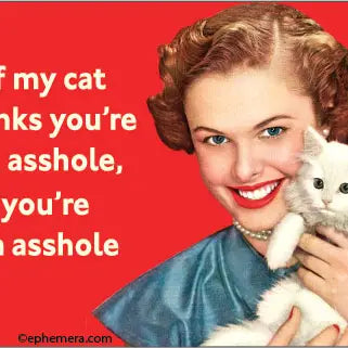 Fun Magnets Rectangle