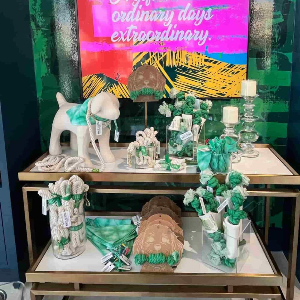 A retail display featuring mint green and white dog accessories including rope toys, tie-dye bandanas, and a plush mannequin dog wearing one of the bandanas.