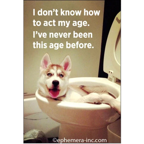 Fun Magnets Rectangle