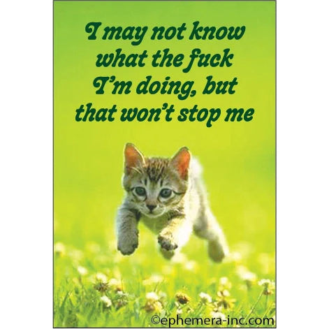 Fun Magnets Rectangle